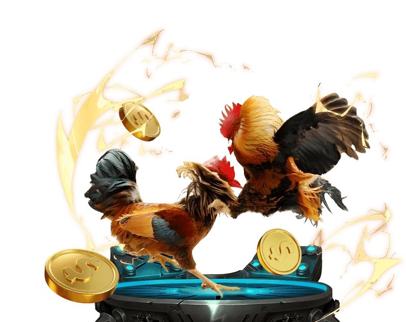 Đấu trường đá gà kịch tính với hai chiến kê đang giao đấu, thu hút người xem tại u888 live